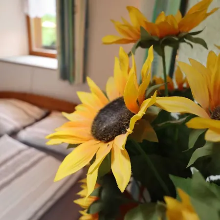 Apartment Haus Heimburg *