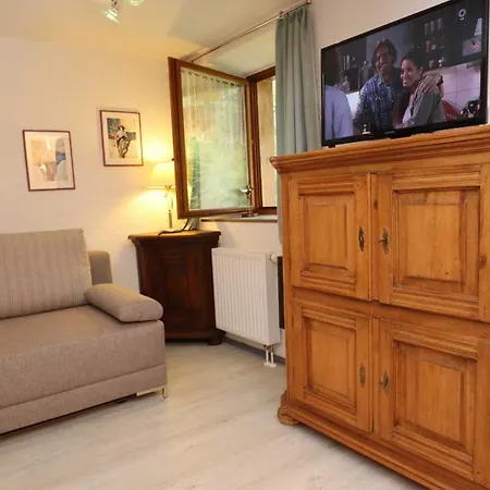 Apartment Haus Heimburg Roetenbach (Friedenweiler)